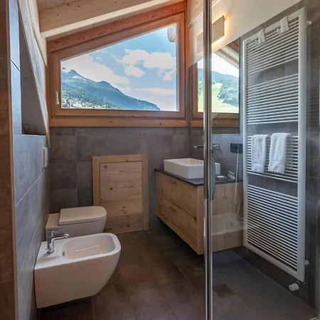 Larix Sauna&relax 博尔米奥